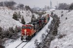 CN 5605